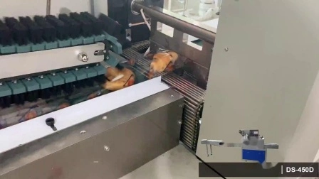 아이스 팝 아이스 캔디 쿠키 포장 기계 초콜릿 비스킷 국수 빵 사탕 과일 야채 베개 포장 기계에 대한 자동 식품 흐름 포장기